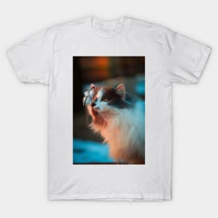 butterfly and a cat T-Shirt